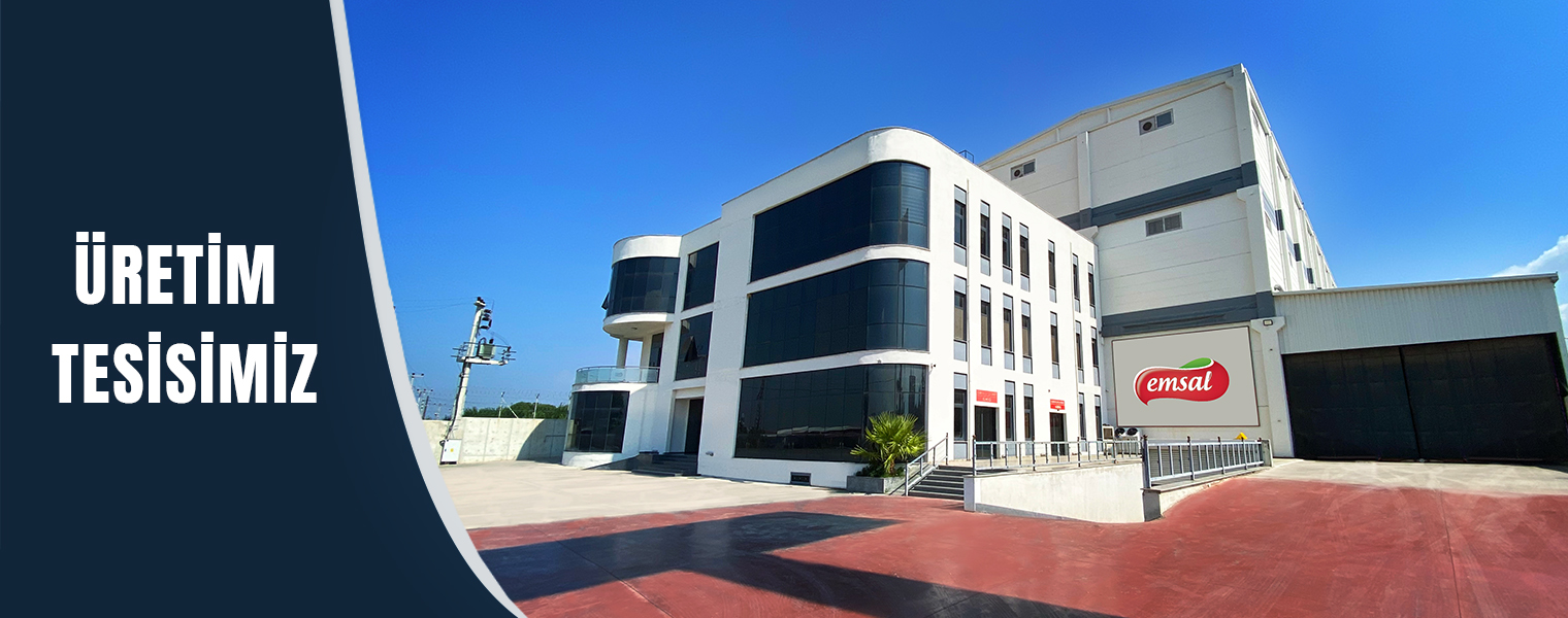 Emsal Kuruyemiş - Tarihçe